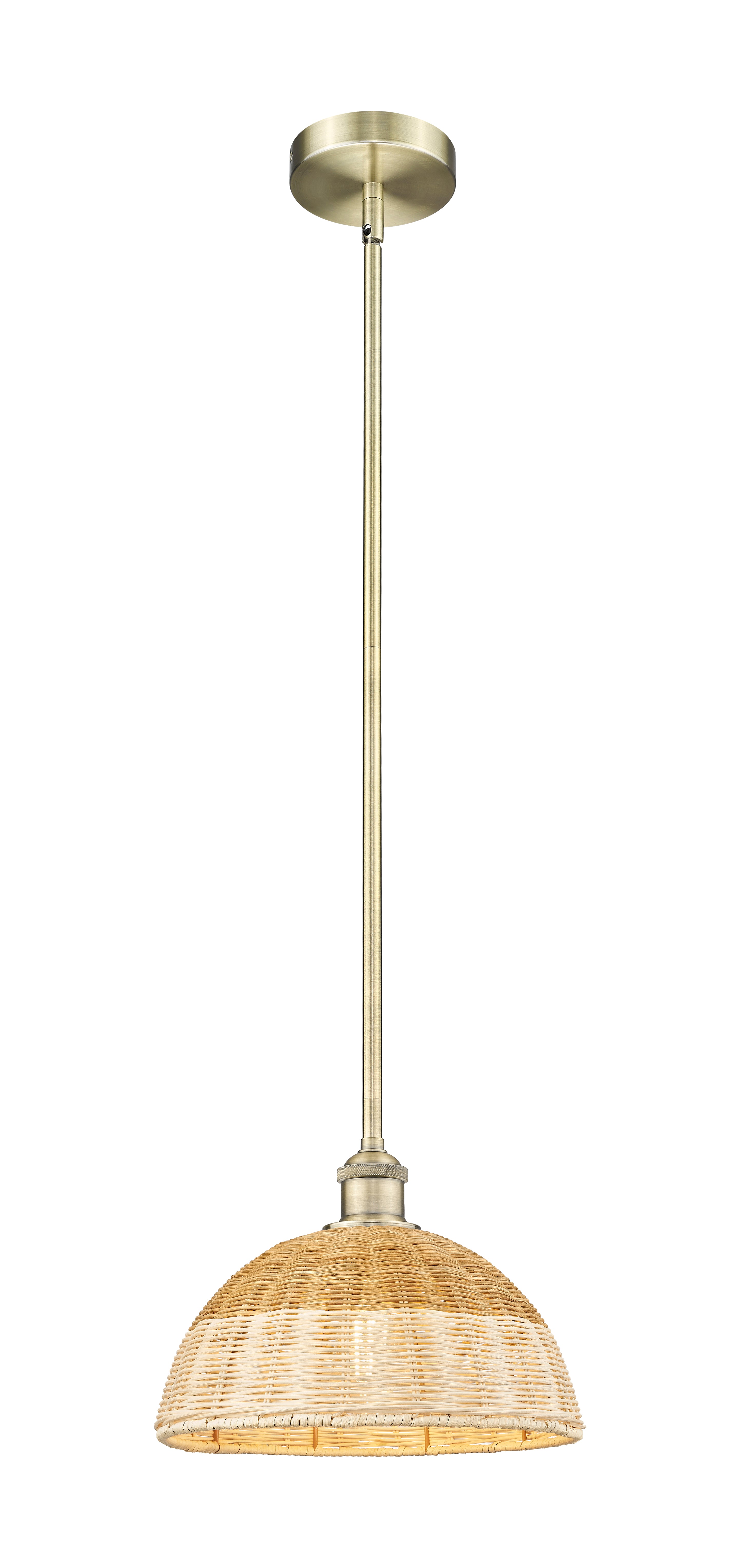 Edison Mini Pendant Antique Brass Finish