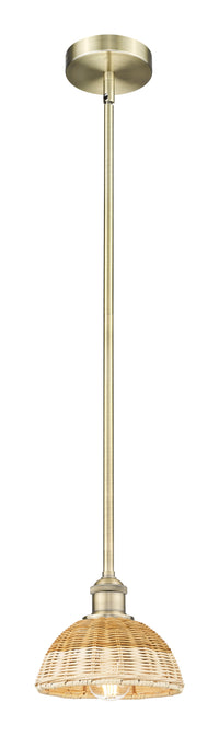 Edison Mini Pendant Antique Brass Finish