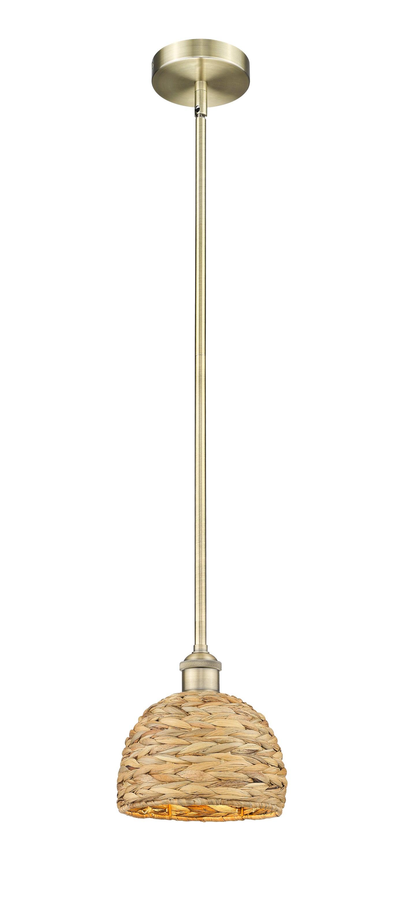 Edison Mini Pendant Antique Brass Finish