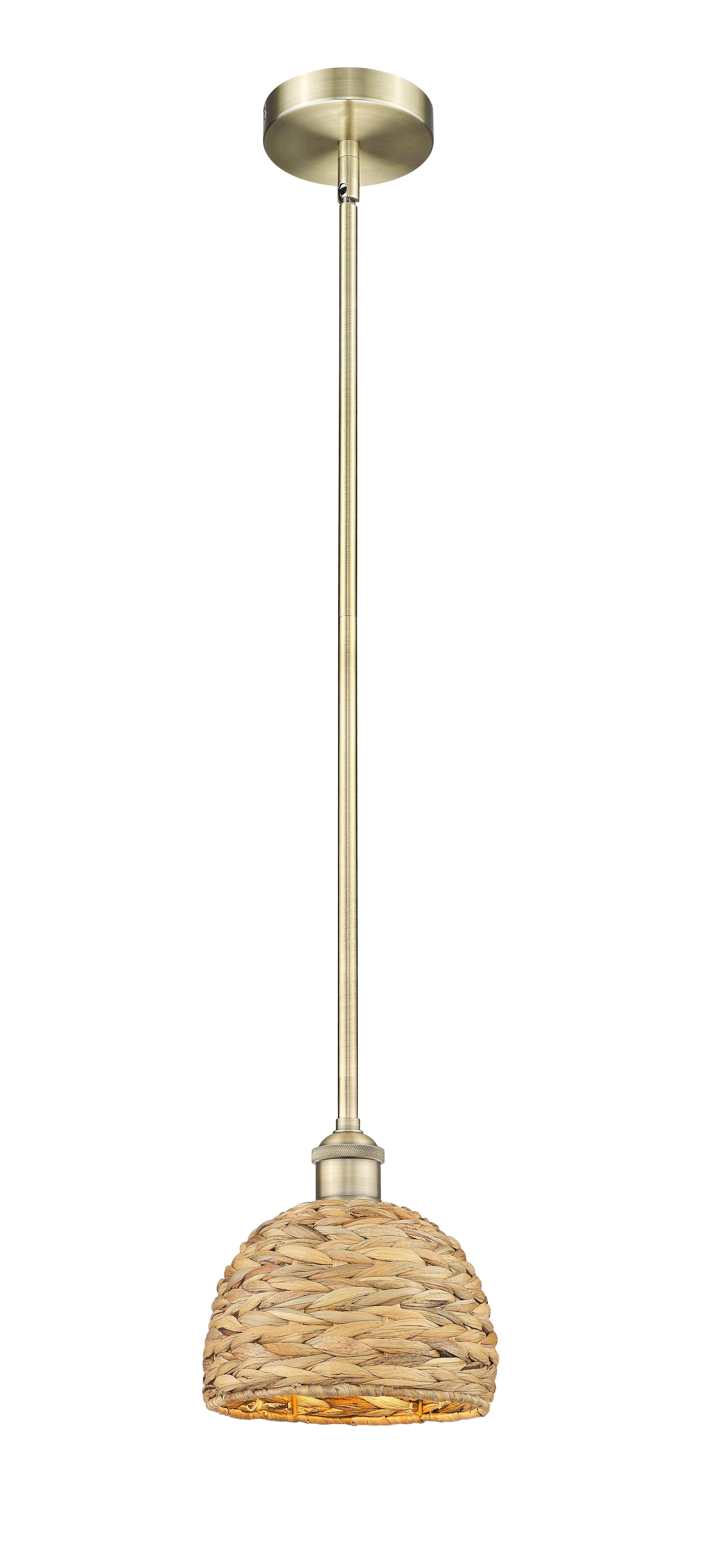 Edison Mini Pendant Antique Brass Finish
