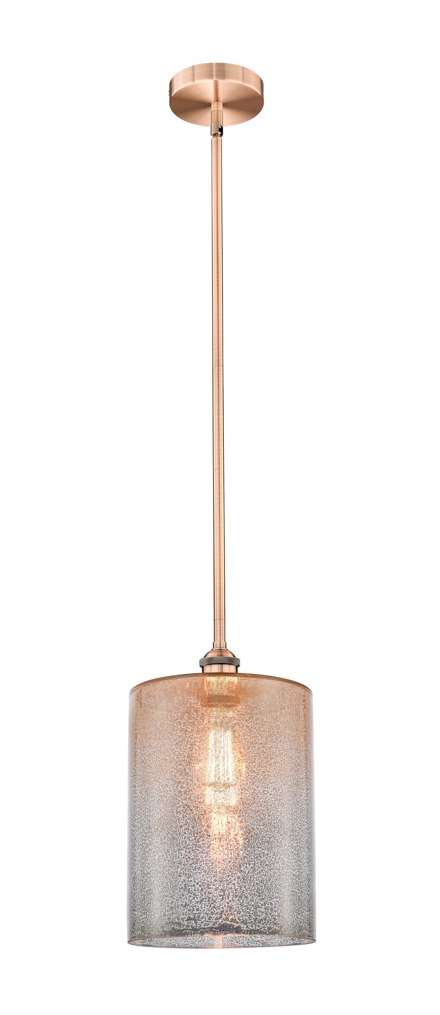 Edison Mini Pendant Antique Brass Finish