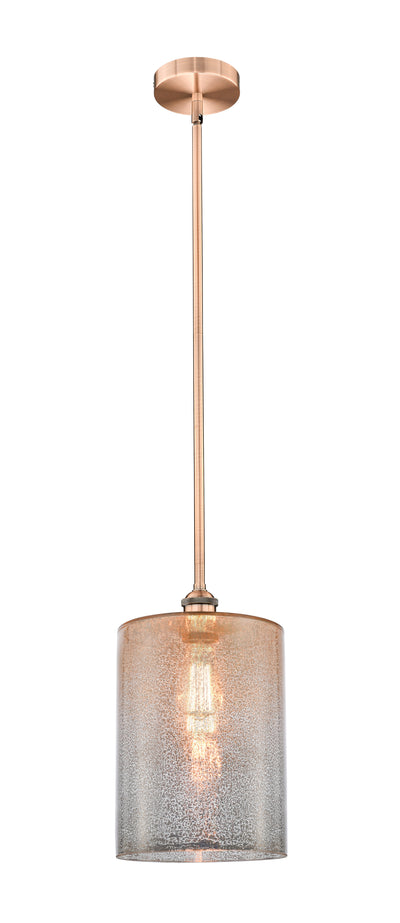 Edison Mini Pendant Antique Brass Finish