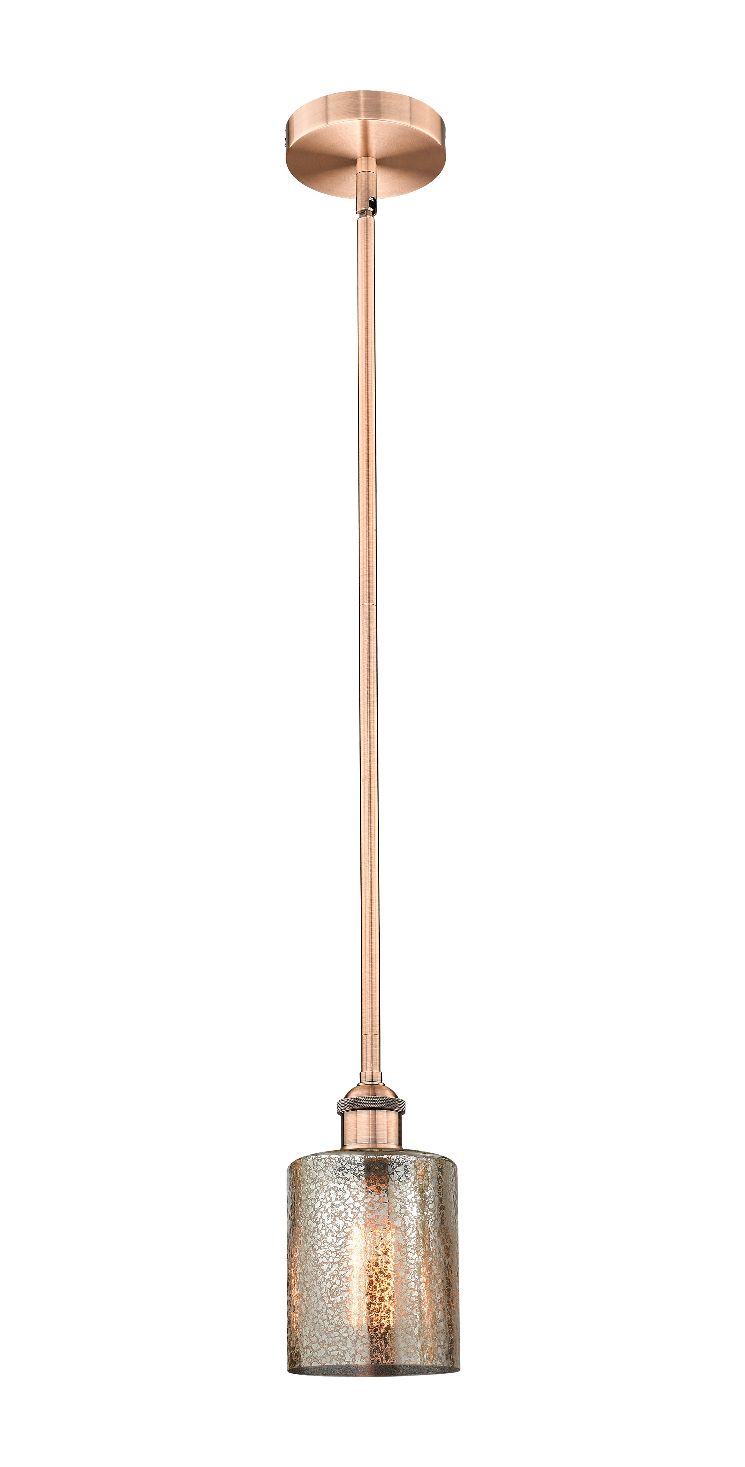 Edison Mini Pendant Antique Brass 6W
