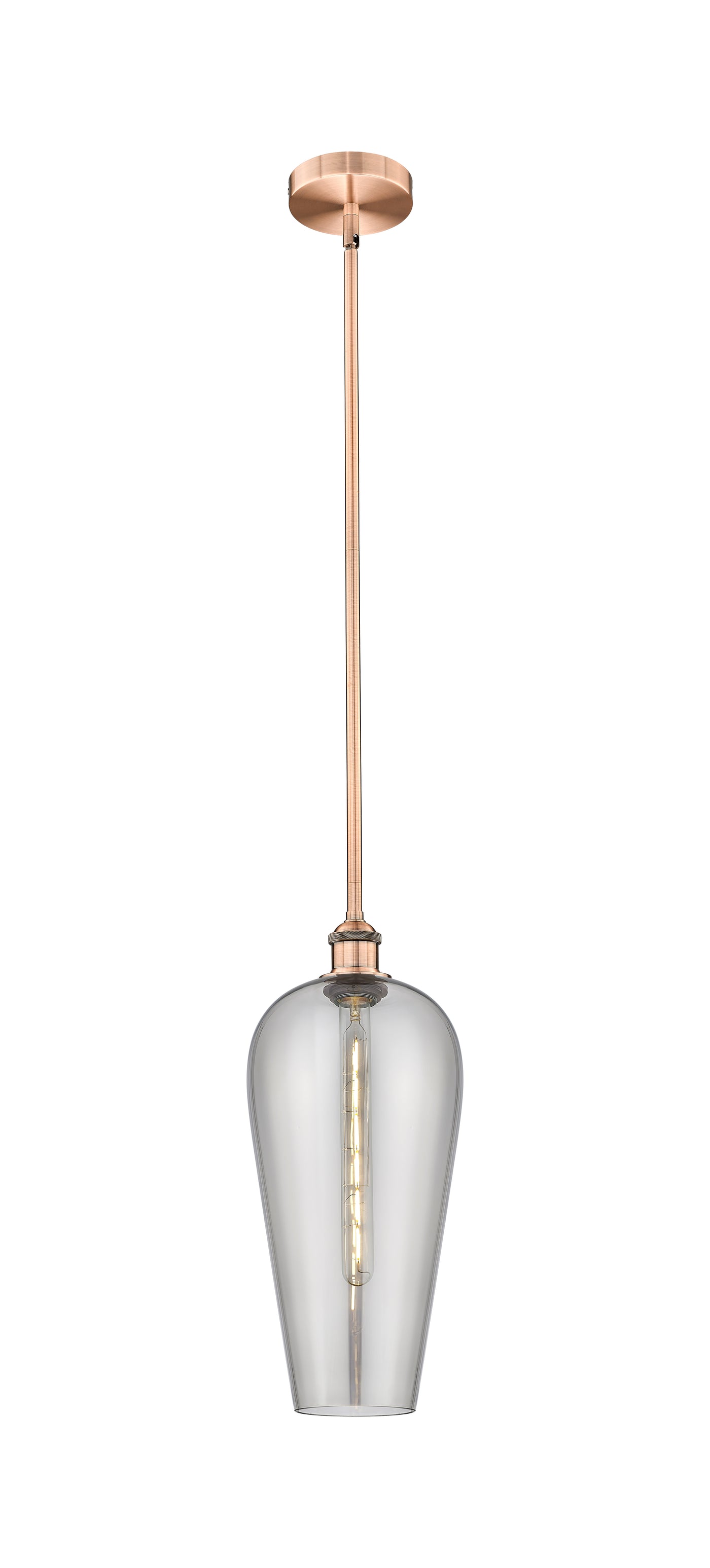 Edison Mini Pendant Antique Brass Finish
