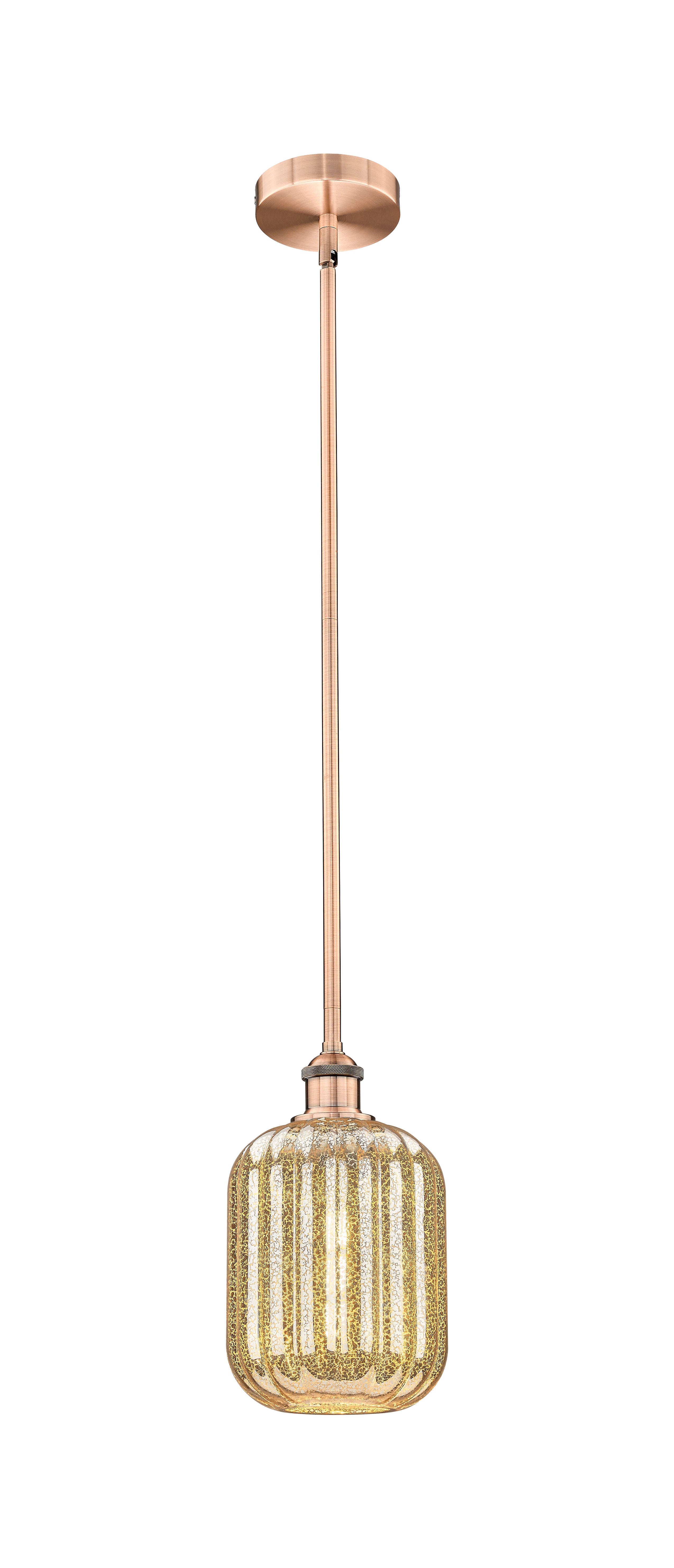 Edison Mini Pendant Antique Brass Finish