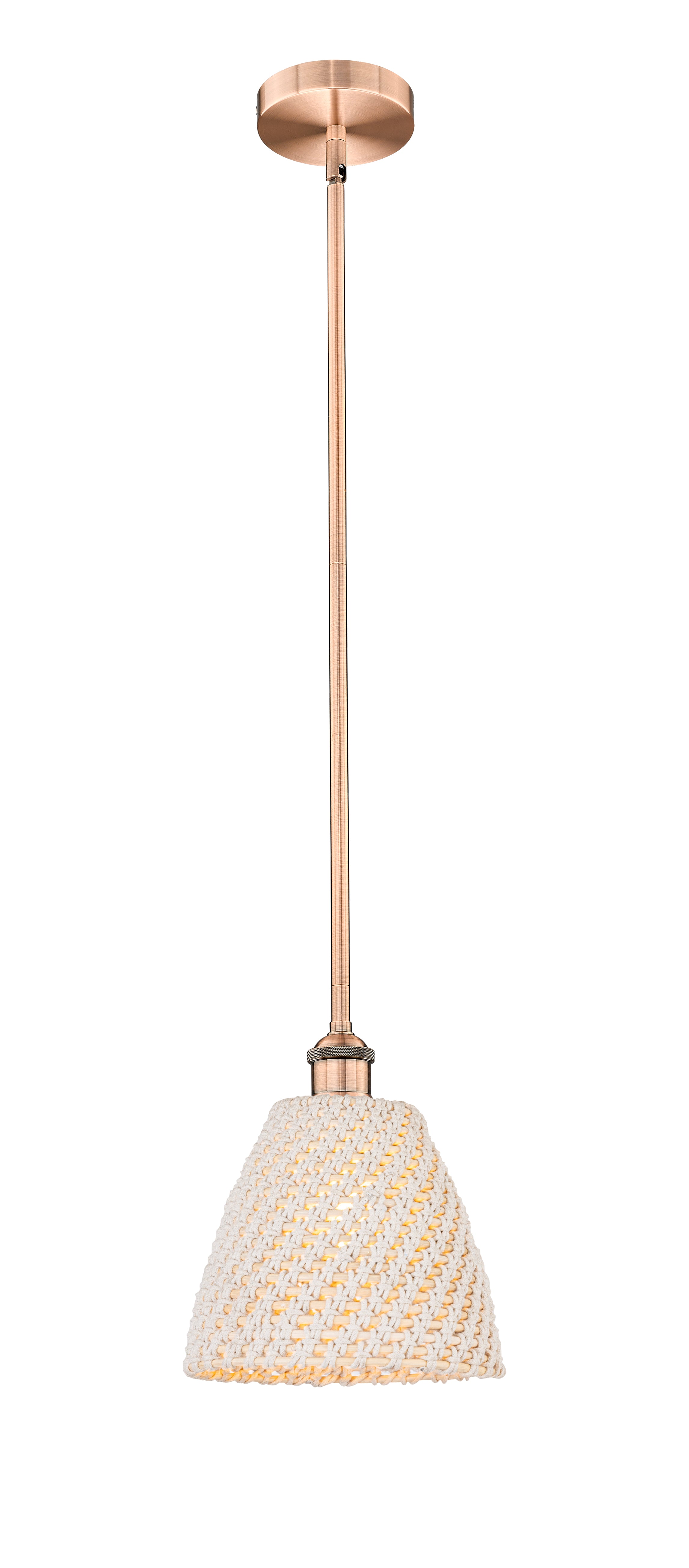 Edison Mini Pendant Antique Brass Finish
