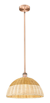Edison Mini Pendant Cast Brass 15.75