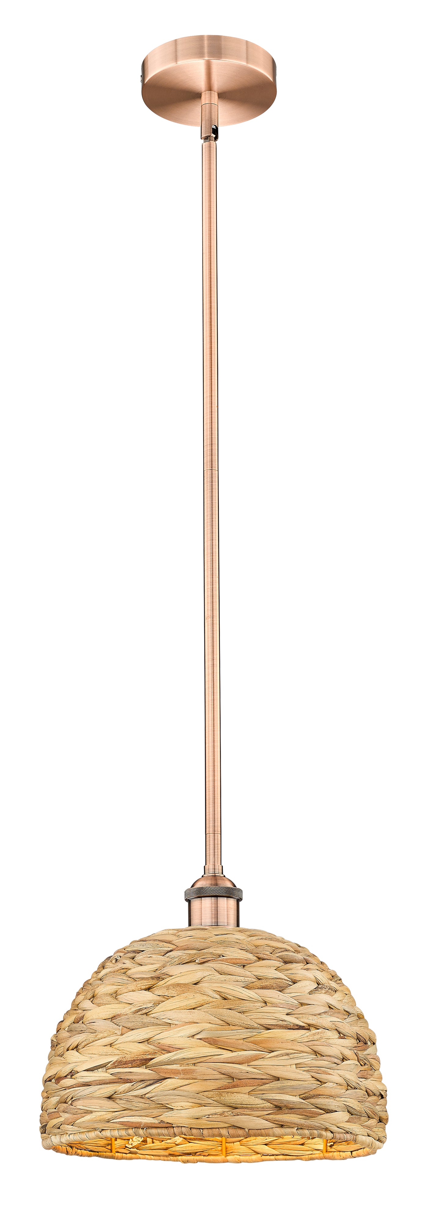 Edison Mini Pendant Antique Brass Finish