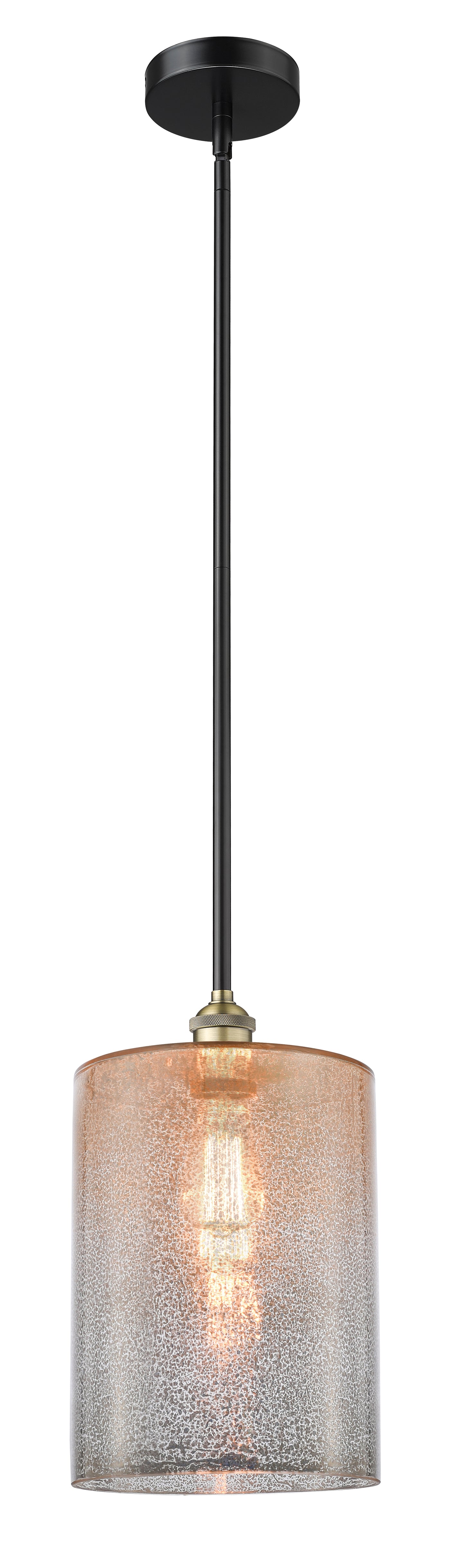 Edison Mini Pendant Antique Brass Finish