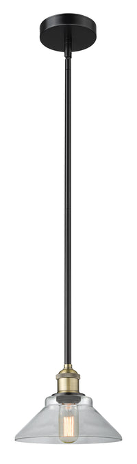Edison Mini Pendant Antique Brass Finish