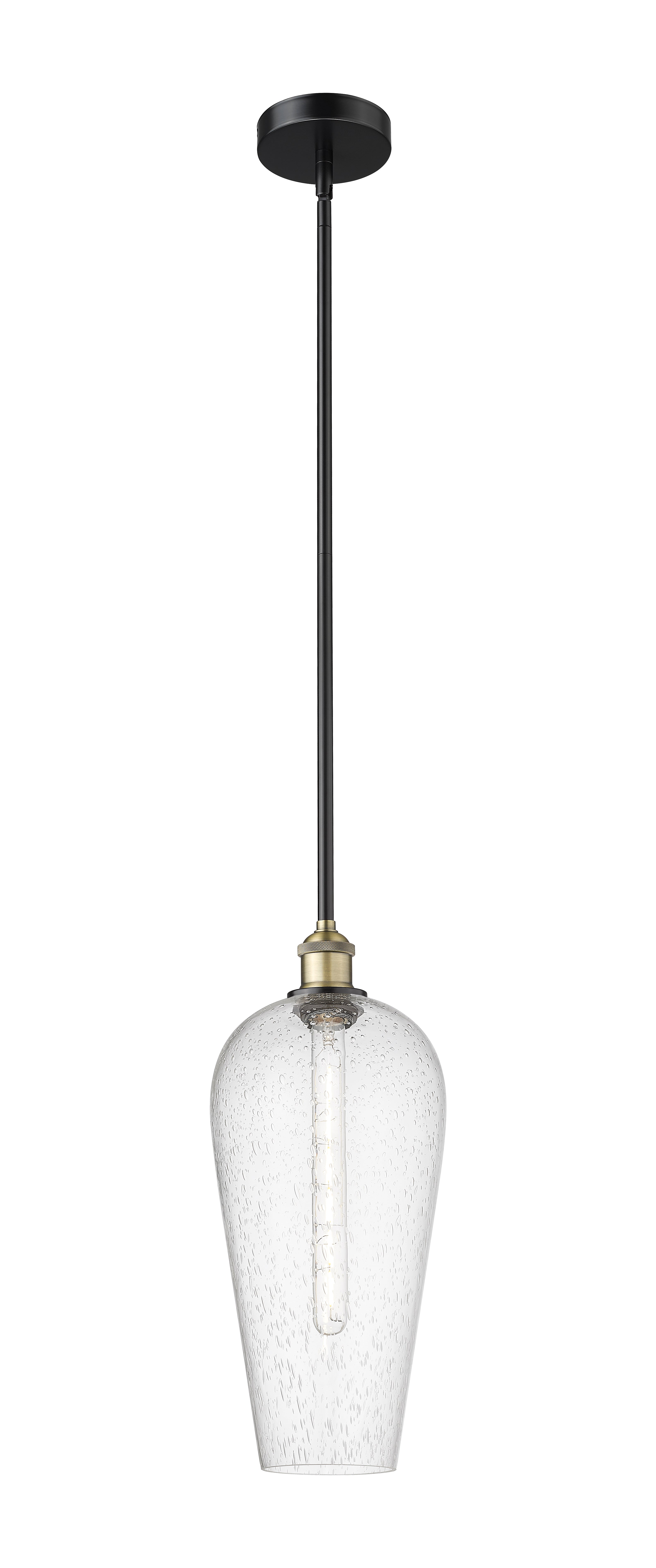 Edison Mini Pendant Antique Brass Finish
