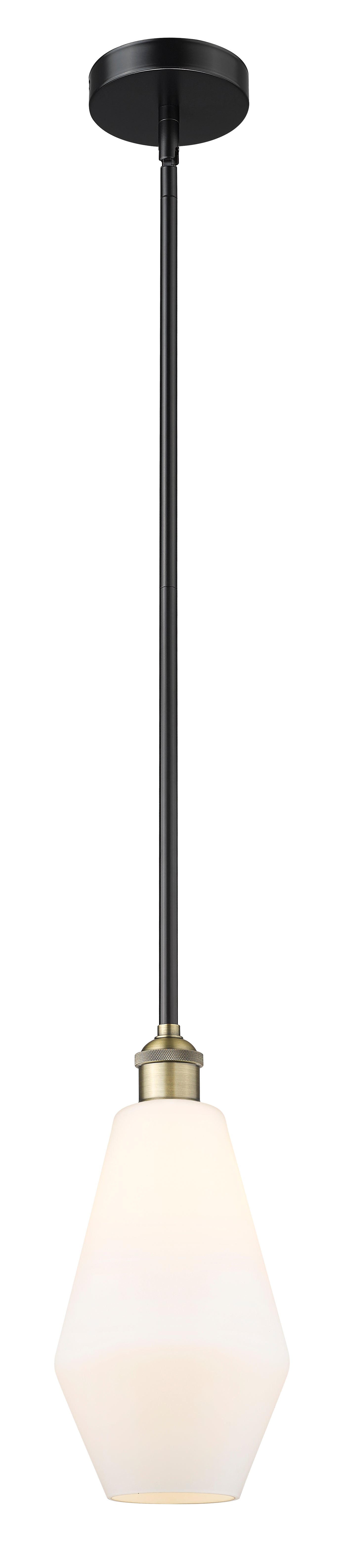 Edison Mini Pendant Antique Brass Finish