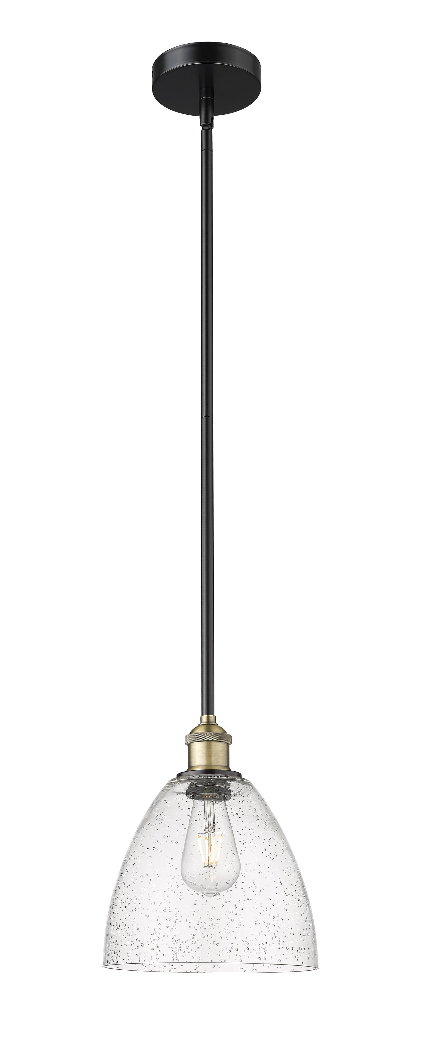 Edison Mini Pendant Antique Brass Finish