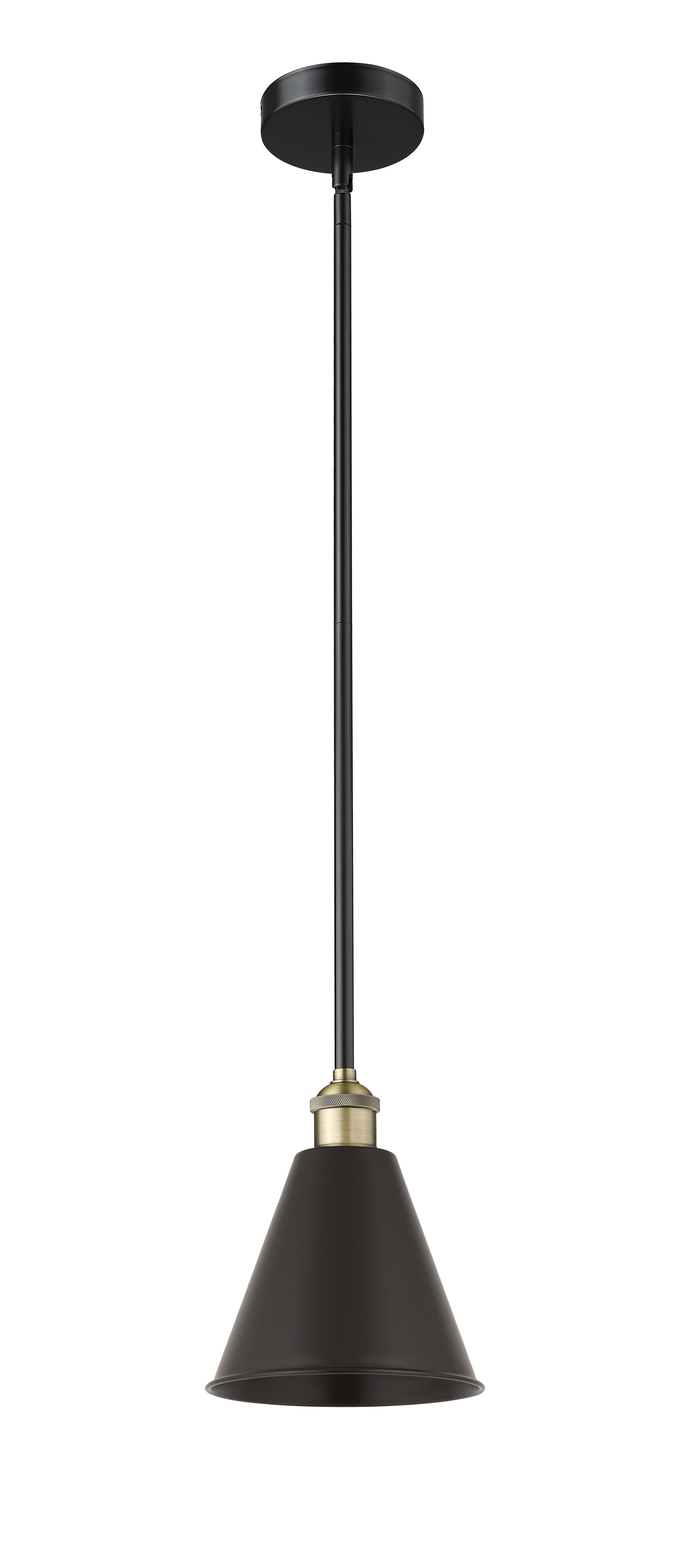 Edison Mini Pendant Antique Brass Finish