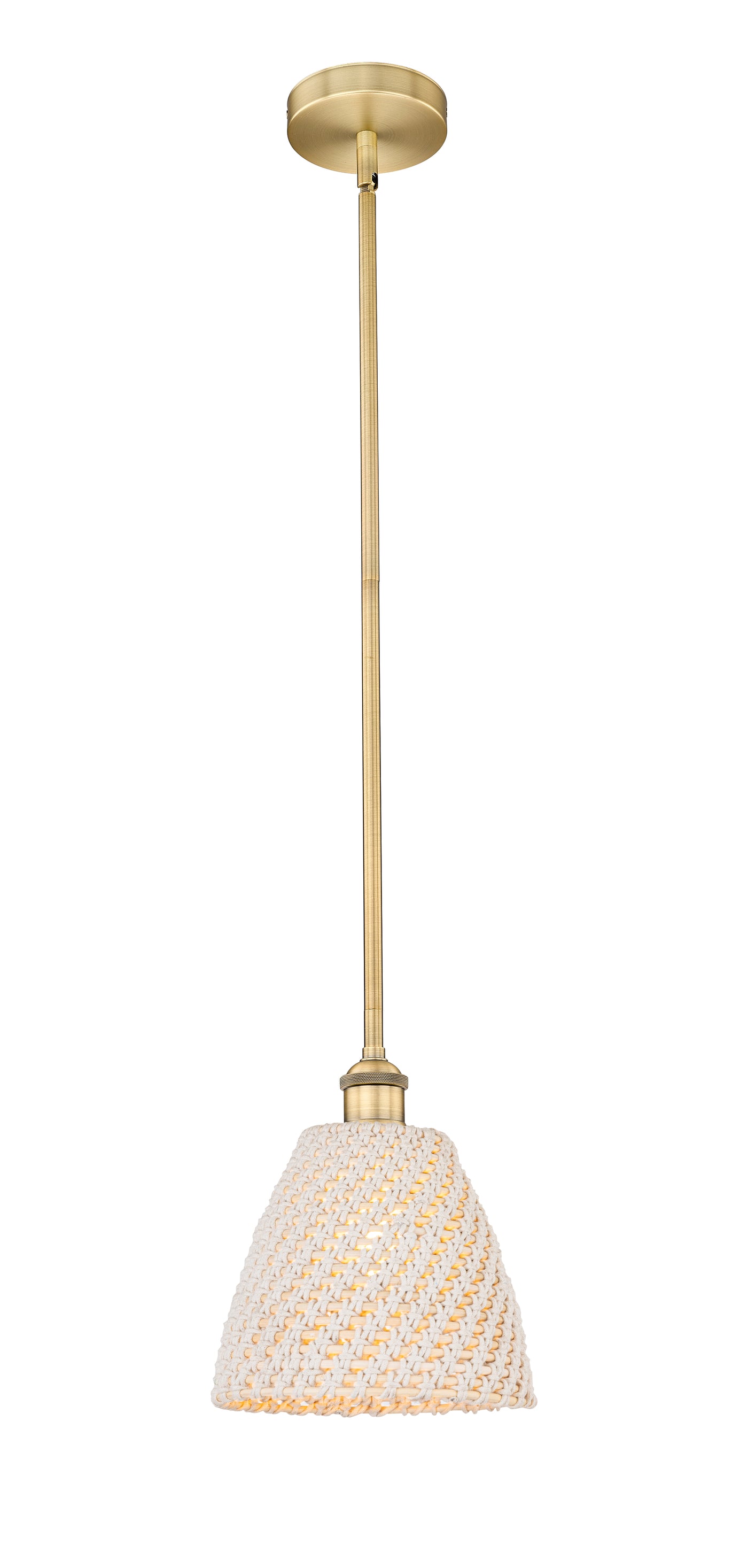 Edison Mini Pendant Antique Brass Finish