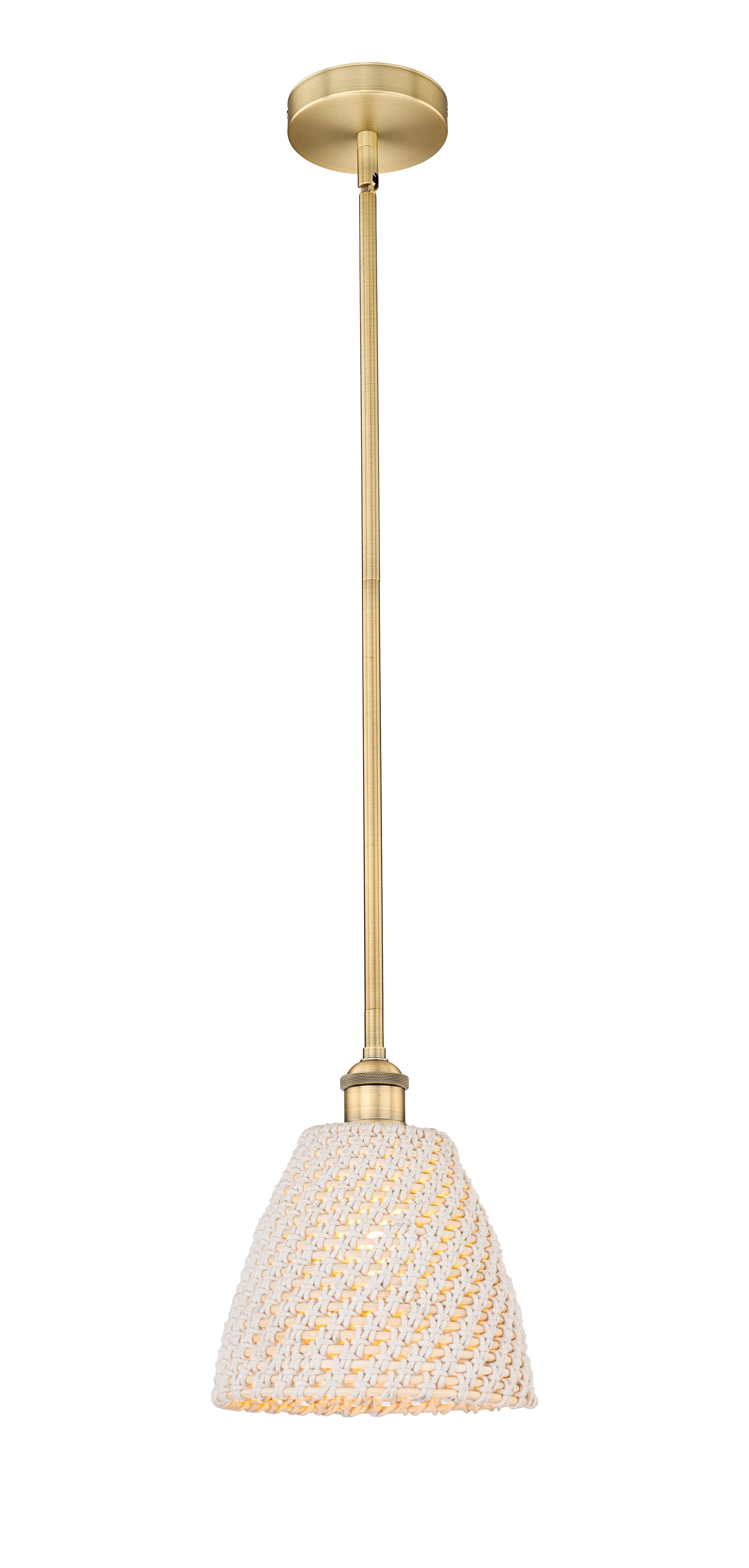Edison Mini Pendant Antique Brass Finish