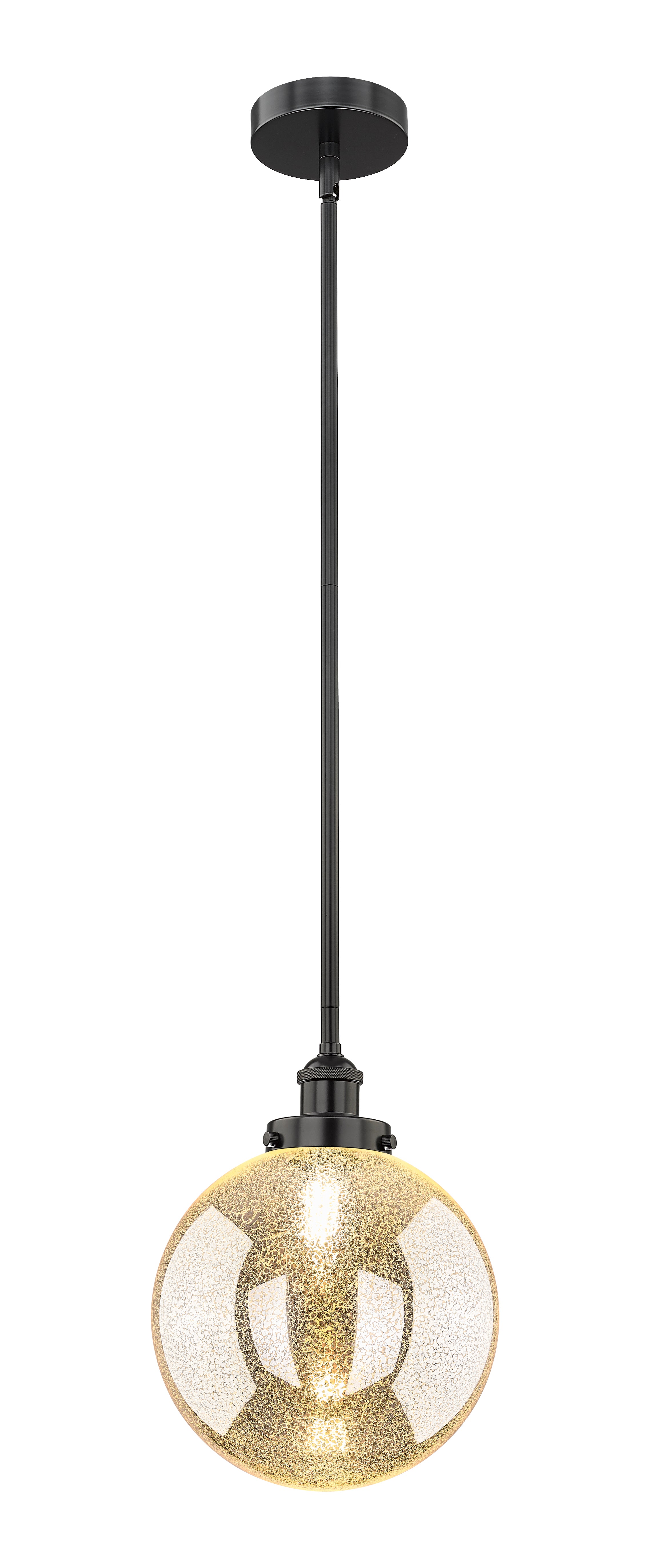 Edison Mini Pendant Matte Black Finish