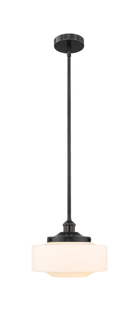 Edison Mini Pendant Antique Brass Finish