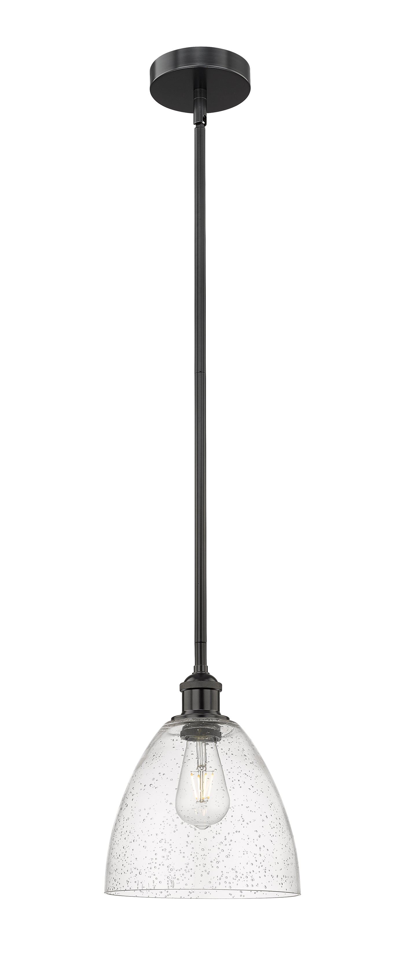 Edison Mini Pendant Antique Brass Finish
