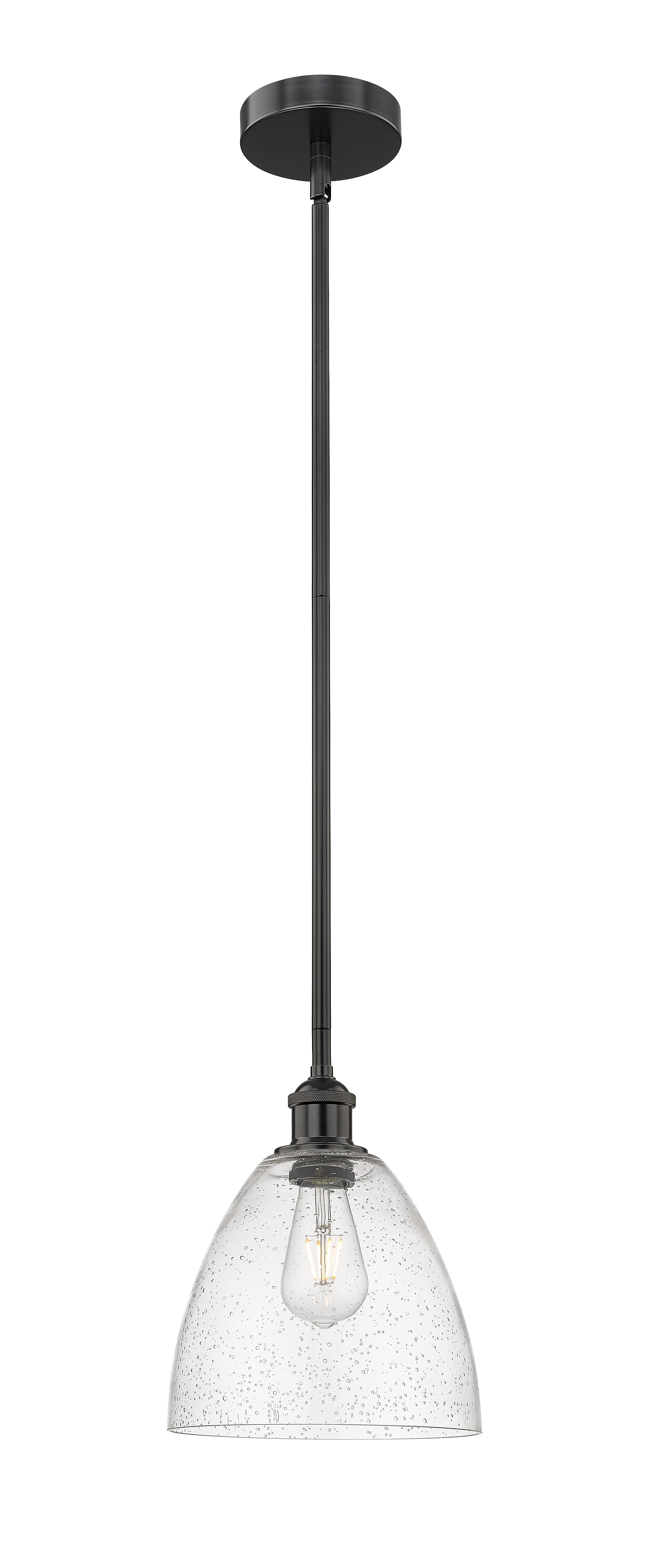Edison Mini Pendant Antique Brass Finish