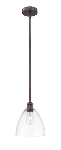 Edison Mini Pendant Antique Brass Finish