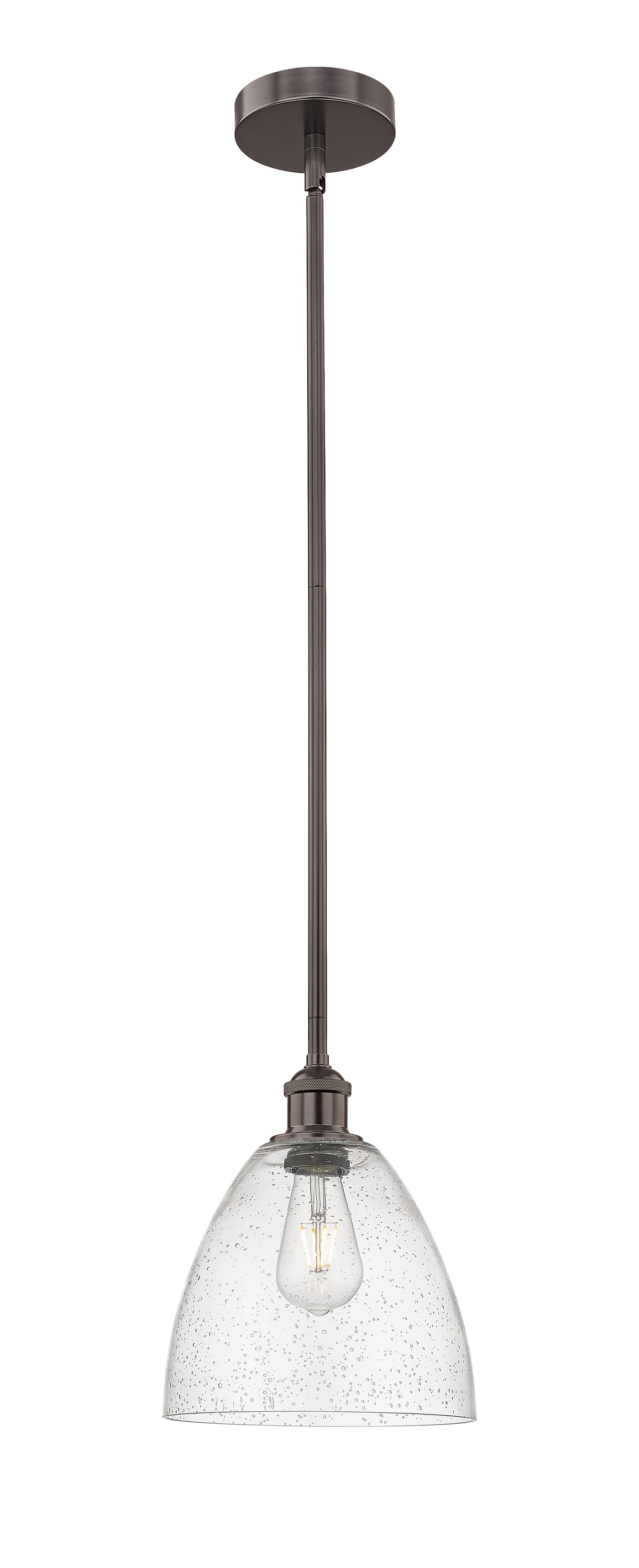 Edison Mini Pendant Antique Brass Finish