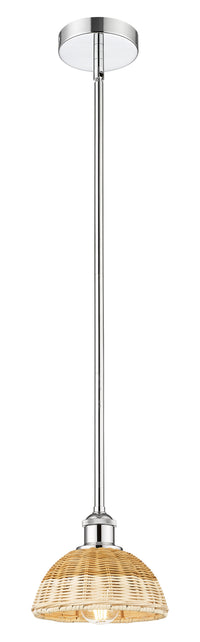 Edison Mini Pendant Antique Brass Finish