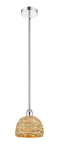 Edison Mini Pendant Antique Brass Finish