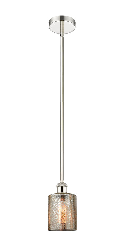 Edison Mini Pendant Antique Brass 6W