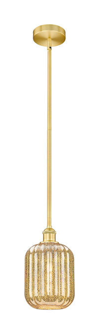 Edison Mini Pendant Antique Brass Finish