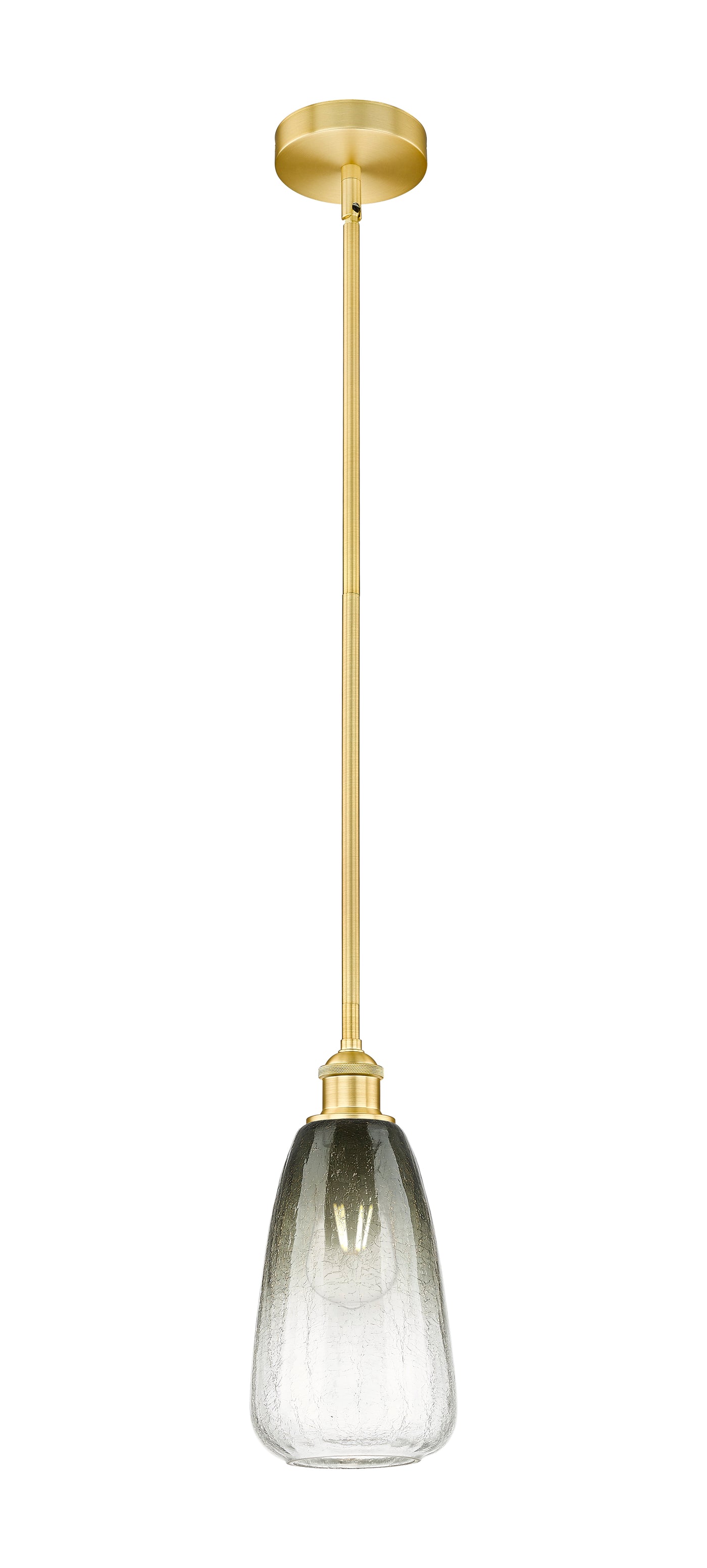 Edison Mini Pendant Antique Brass 6 Inch