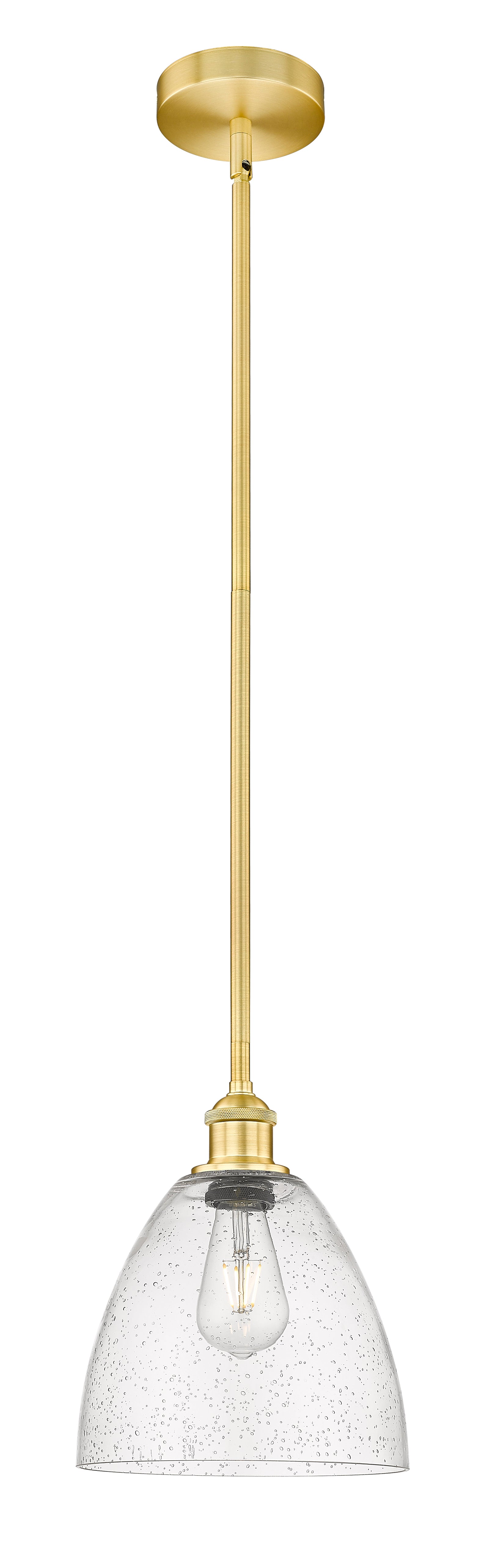 Edison Mini Pendant Antique Brass Finish