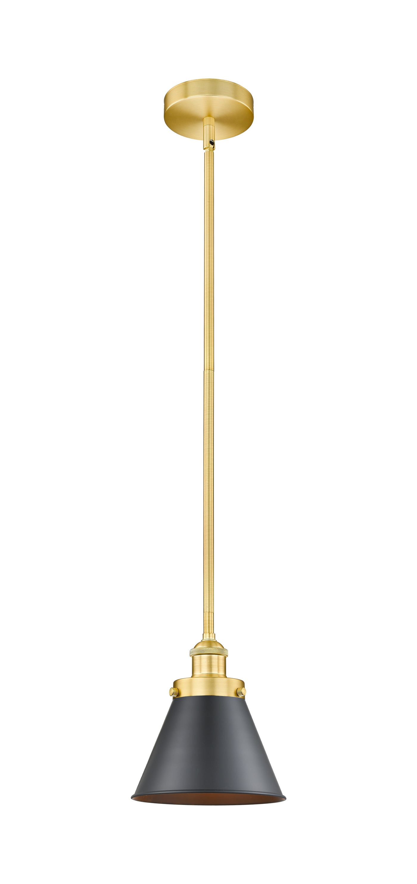 Edison Mini Pendant Black Antique Brass