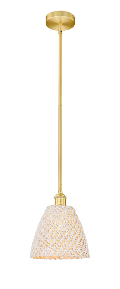 Edison Mini Pendant Antique Brass Finish
