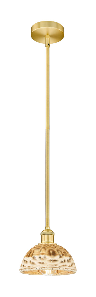 Edison Mini Pendant Antique Brass Finish
