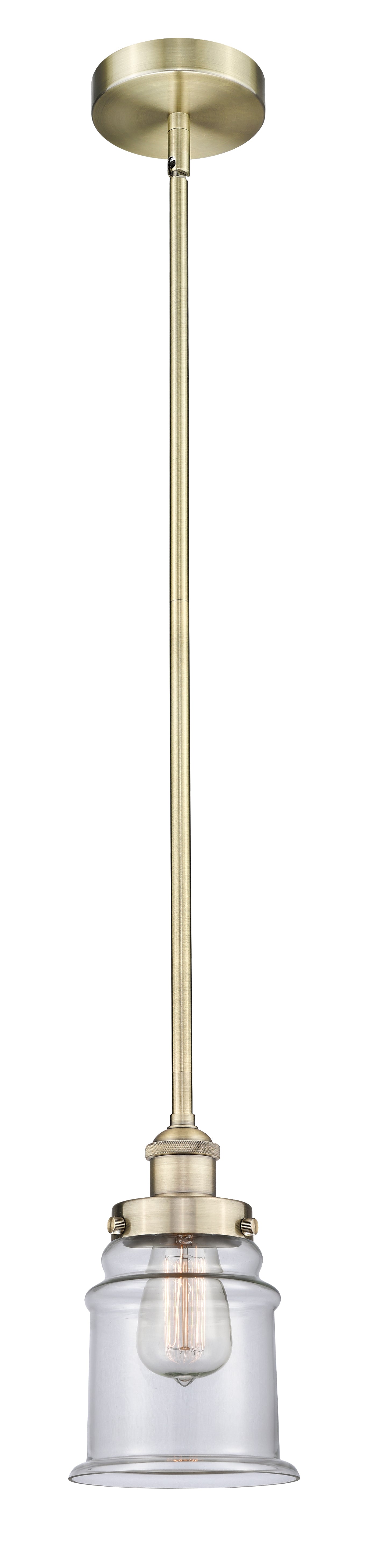 Edison Mini Pendant Antique Brass Finish