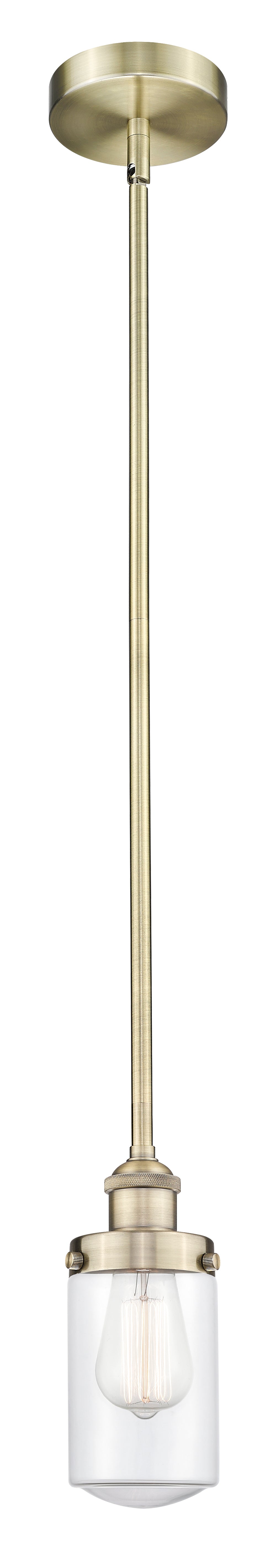Edison Mini Pendant Antique Brass Finish