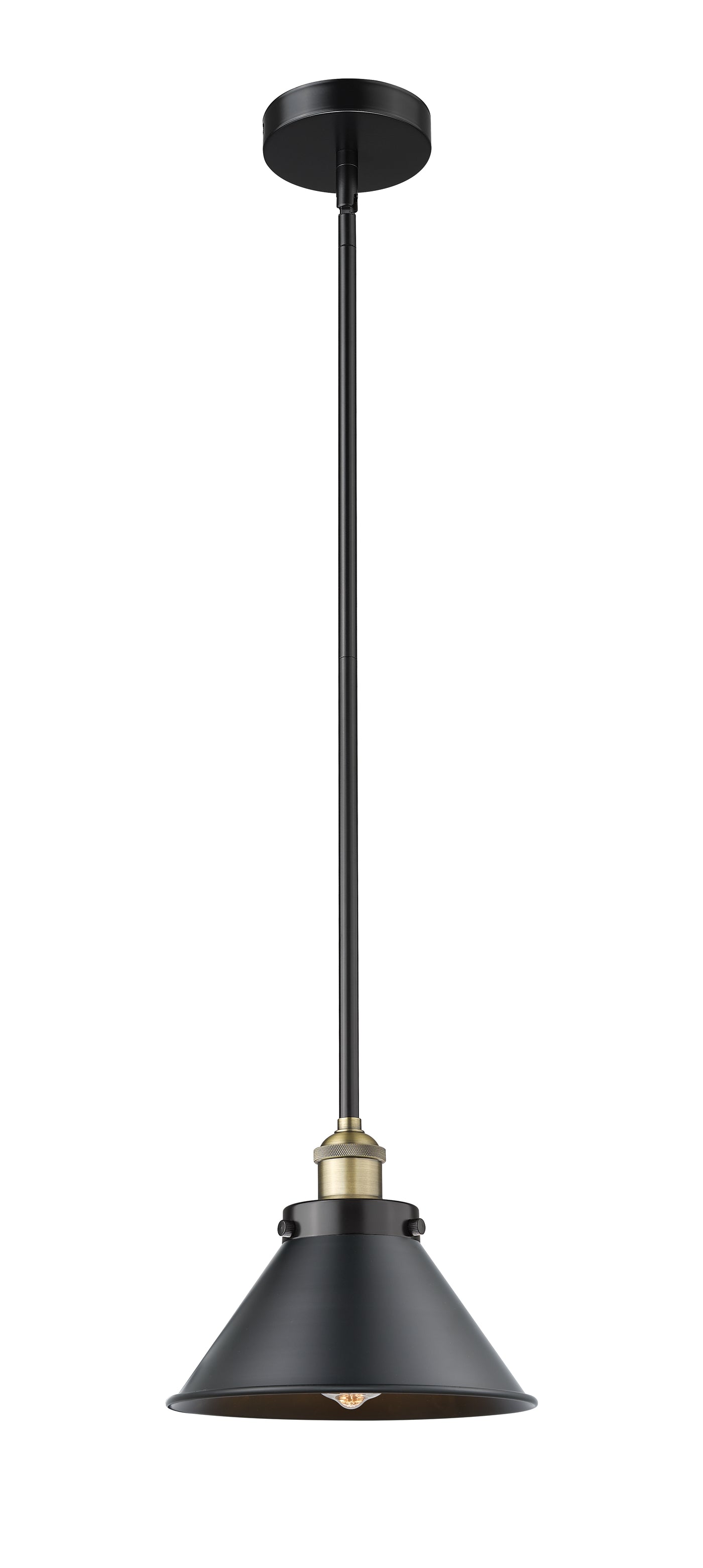 Edison Mini Pendant Cast Brass Black