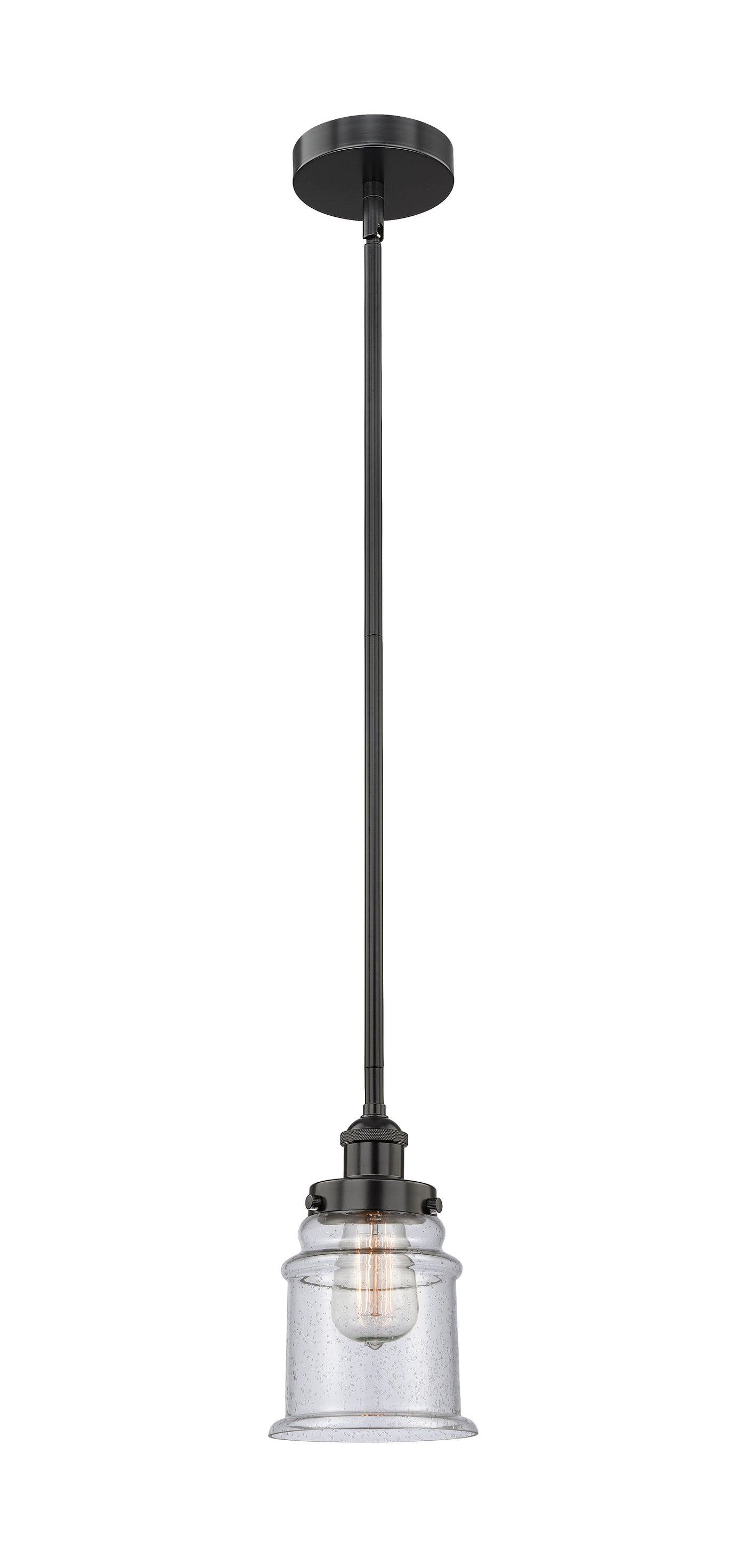 Edison Mini Pendant Antique Brass Finish