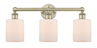 Edison Bath Vanity Light Cast Brass