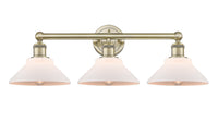 Edison Bath Vanity Light Cast Brass 26"