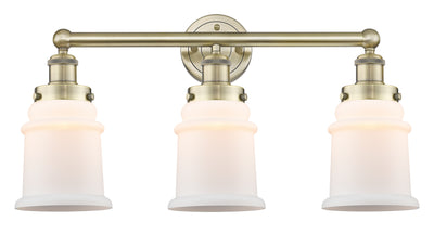 Edison Bath Vanity Light Cast Brass 25 Inch