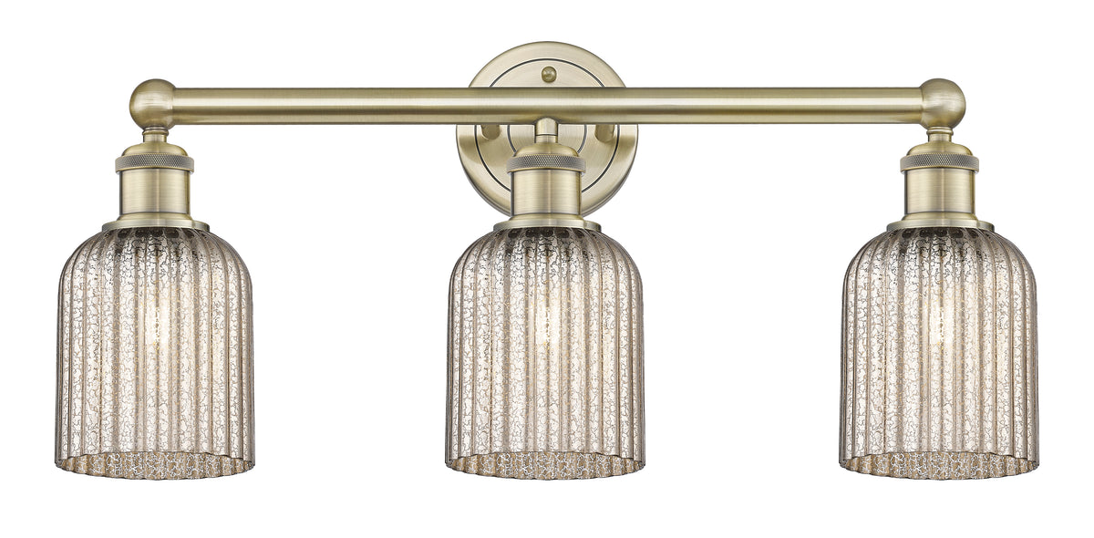 Bridal Veil 23-Inch 3-Light Bath Vanity Light 5-Inch Shade