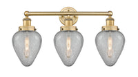 Geneseo 25-Inch 3-Light Bath Vanity Light 14-Inch High 7.75-Inch Extension