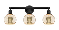 Edison Bath Vanity Light Cast Brass Steel