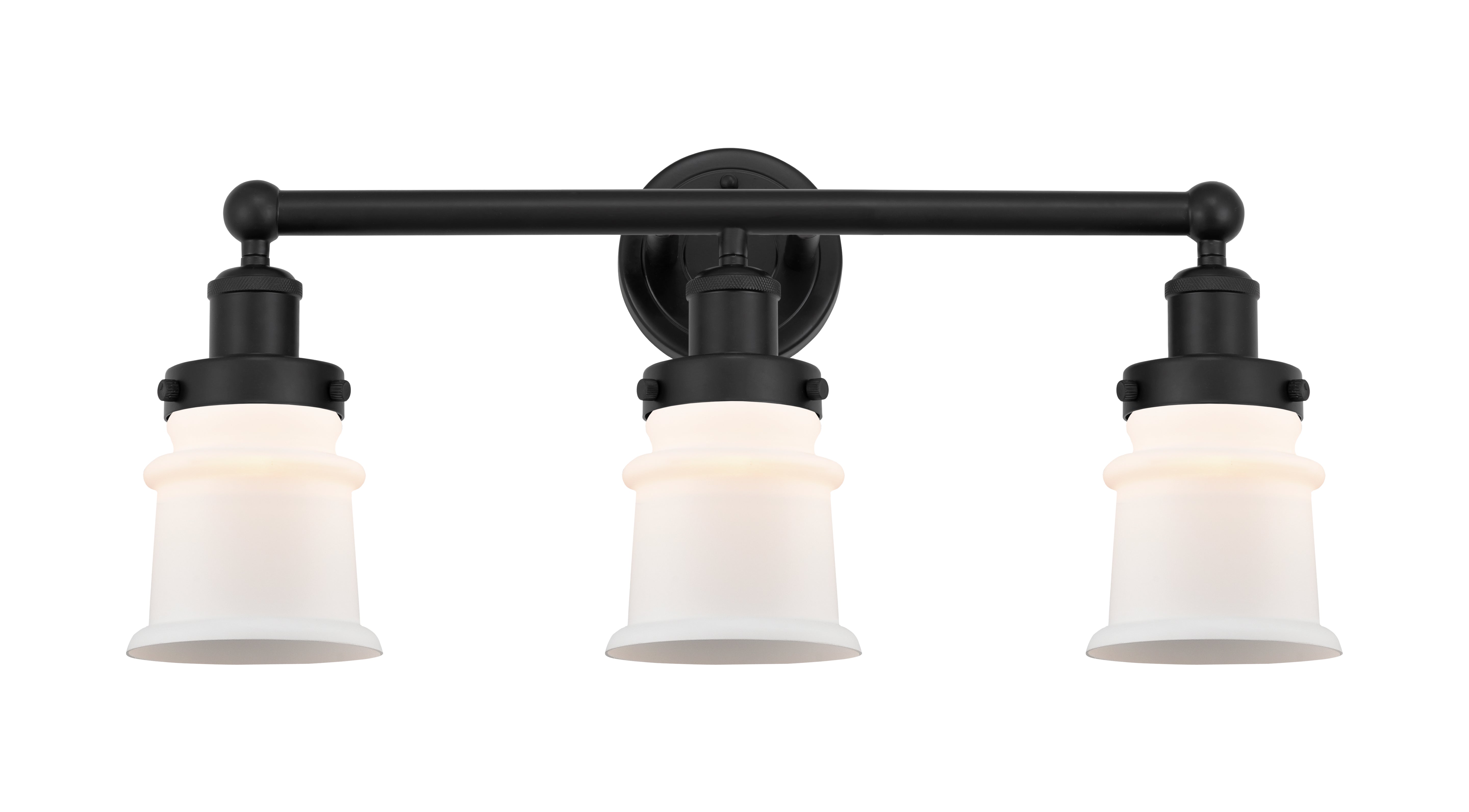 Edison Bath Vanity Light Cast Brass 24 Inch
