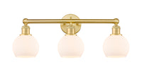 Edison Bath Vanity Light Cast Brass Steel