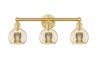 Edison Bath Vanity Light Cast Brass Steel