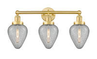 Geneseo 25-Inch 3-Light Bath Vanity Light 14-Inch High 7.75-Inch Extension