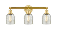 Caledonia 23-Inch 3-Light Bath Vanity Light 11.25-Inch High